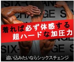 �V�b�N�X�`�F���W �X��